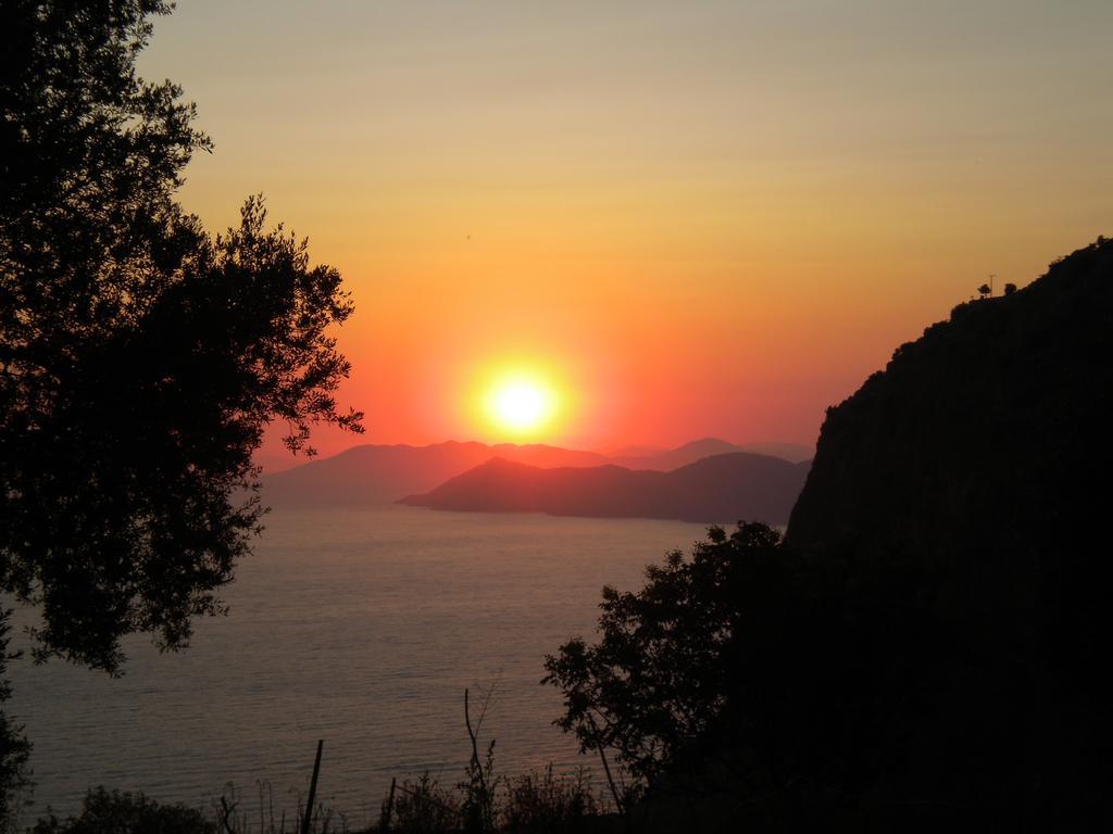 George House Bed and Breakfast Faralya Εξωτερικό φωτογραφία